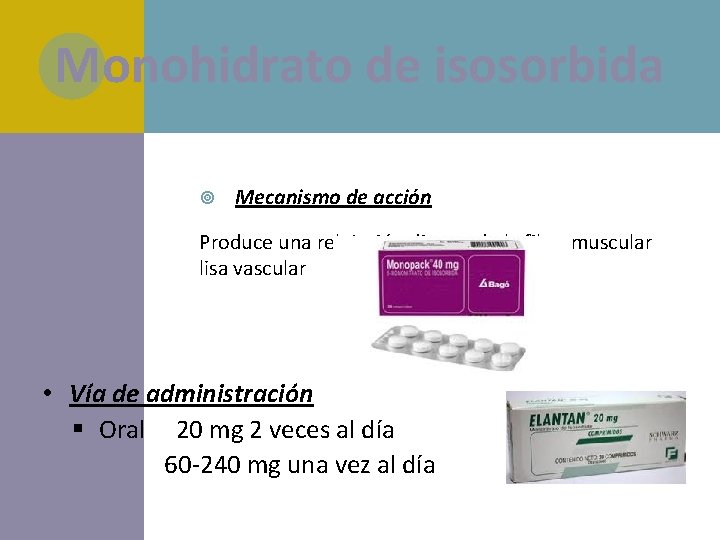 Monohidrato de isosorbida Mecanismo de acción Produce una relajación directa de la fibra muscular