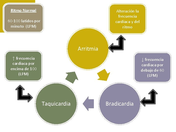 Ritmo Normal Alteración la frecuencia cardiaca y del ritmo 60 -100 latidos por minuto Ritmo Normal Alteración la frecuencia cardiaca y del ritmo 60 -100 latidos por minuto