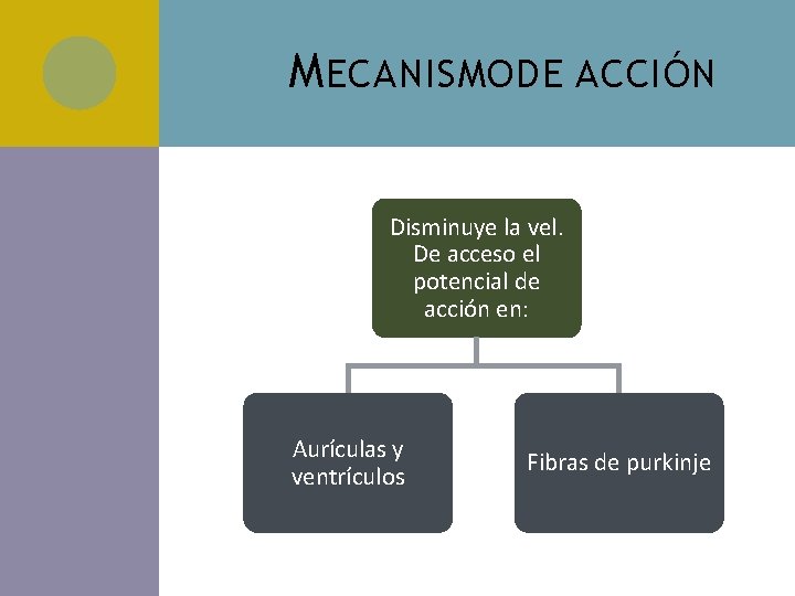M ECANISMO DE ACCIÓN Disminuye la vel. De acceso el potencial de acción en: M ECANISMO DE ACCIÓN Disminuye la vel. De acceso el potencial de acción en: