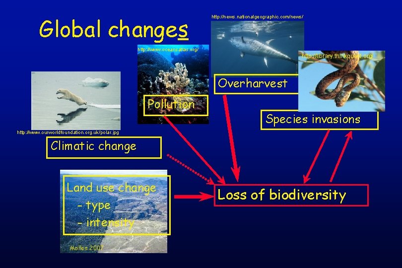 Global changes http: //news. nationalgeographic. com/news/ http: //www. oceansatlas. org/ http: //library. thinkquest. org/