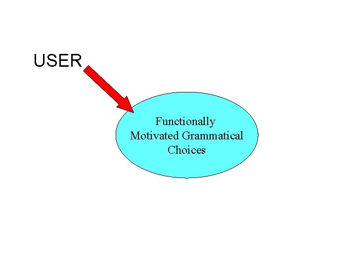 USER Functionally Motivated Grammatical Choices 