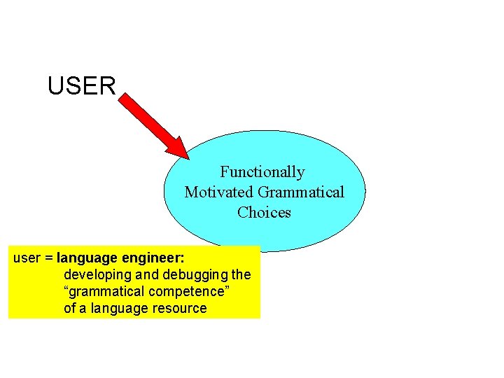 USER Functionally Motivated Grammatical Choices user = language engineer: developing and debugging the “grammatical