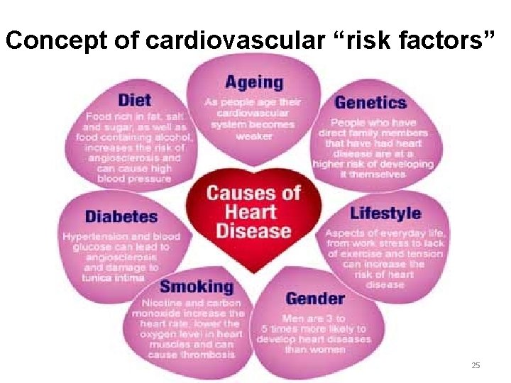 Concept of cardiovascular “risk factors” 25 