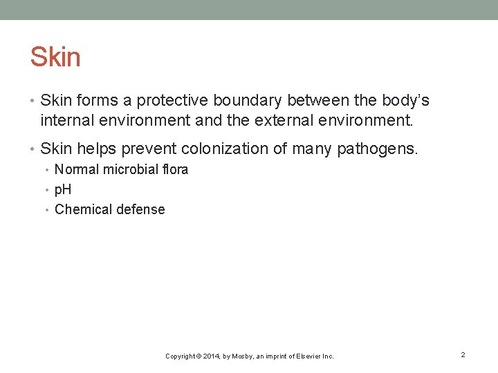 Skin • Skin forms a protective boundary between the body’s internal environment and the