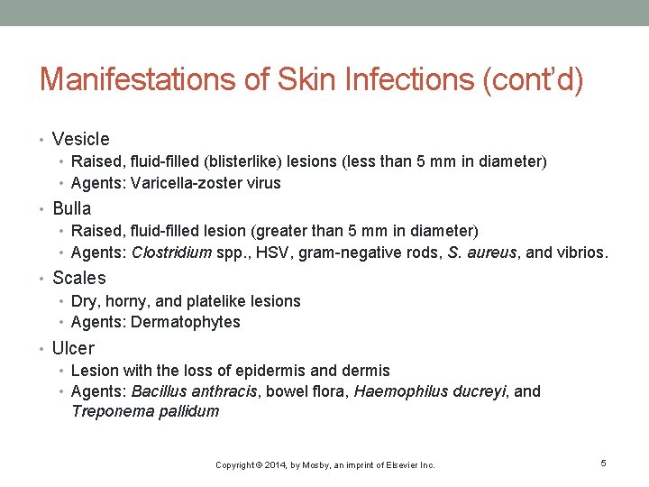 Manifestations of Skin Infections (cont’d) • Vesicle • Raised, fluid-filled (blisterlike) lesions (less than