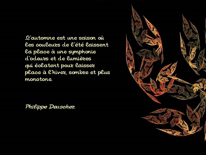 L'automne est une saison où les couleurs de l'été laissent la place à une
