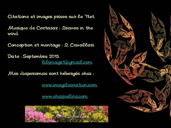 Citations et images prises sur le Net. Musique de Cortazar : Leaves in the