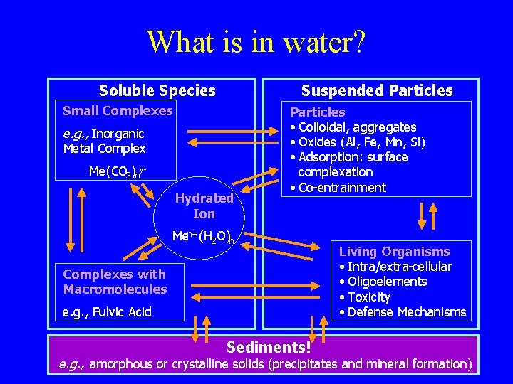What is in water? Soluble Species Suspended Particles Small Complexes e. g. , Inorganic