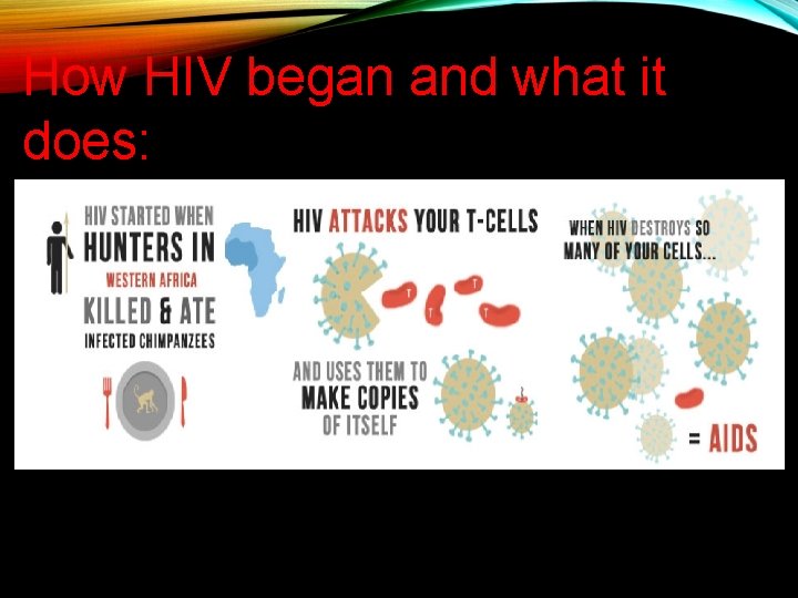 How HIV began and what it does: 