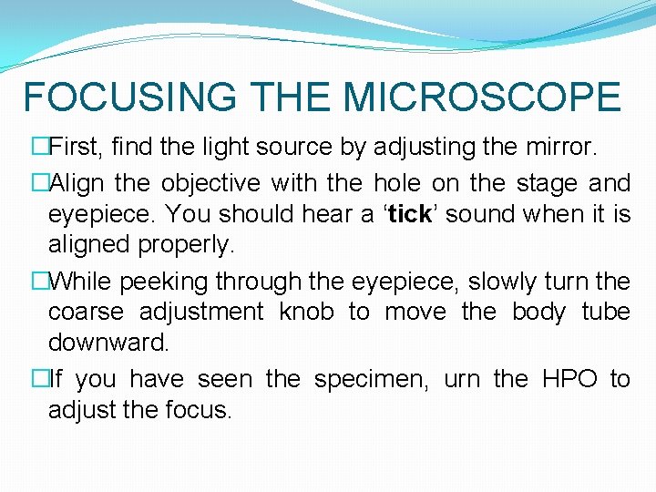 FOCUSING THE MICROSCOPE �First, find the light source by adjusting the mirror. �Align the