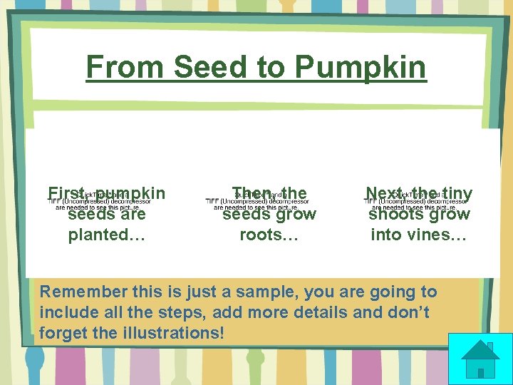 From Seed to Pumpkin First, pumpkin seeds are planted… Then, the seeds grow roots…