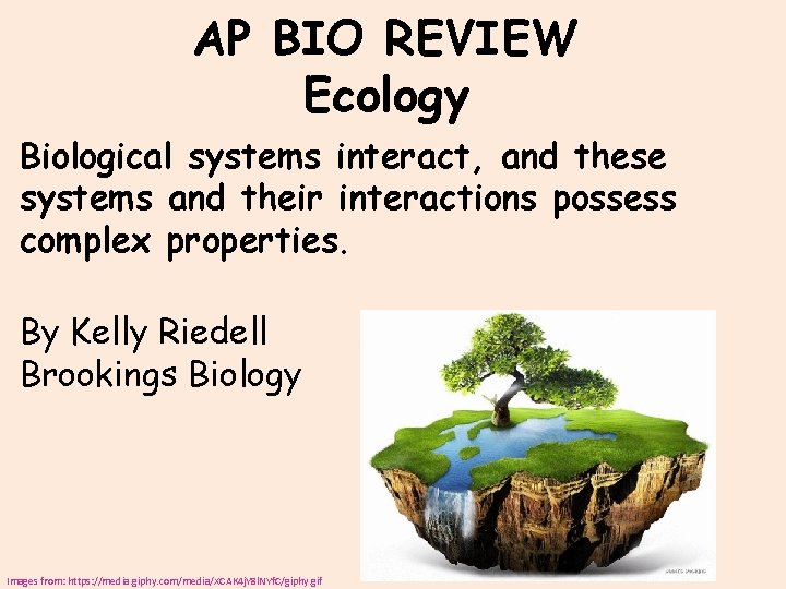 AP BIO REVIEW Ecology Biological systems interact, and these systems and their interactions possess