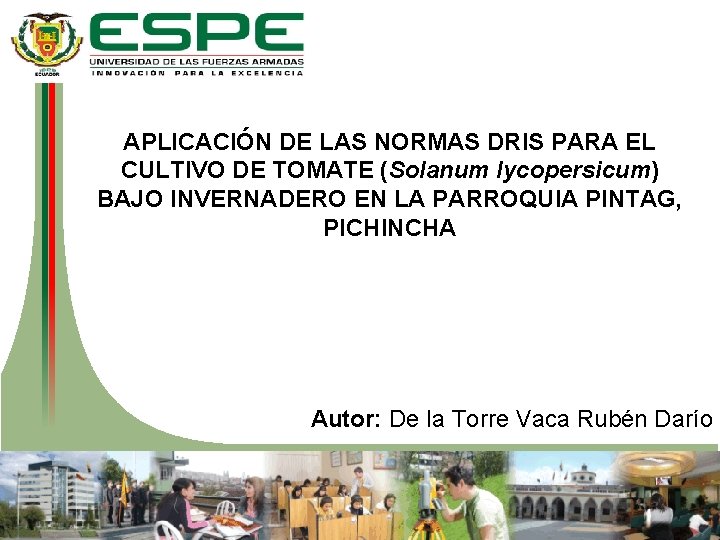APLICACIÓN DE LAS NORMAS DRIS PARA EL CULTIVO DE TOMATE (Solanum lycopersicum) BAJO INVERNADERO