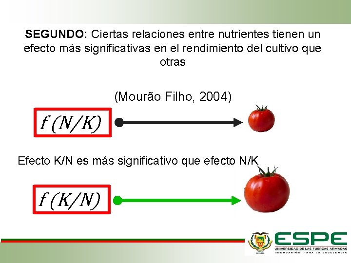 SEGUNDO: Ciertas relaciones entre nutrientes tienen un efecto más significativas en el rendimiento del