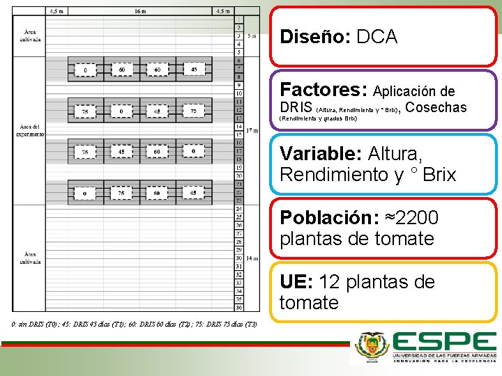 Diseño: DCA Factores: Aplicación de DRIS (Altura, Rendimiento y ° Brix), Cosechas (Rendimiento y