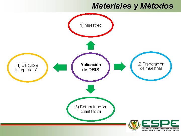 Materiales y Métodos 1) Muestreo 4) Cálculo e interpretación Aplicación de DRIS 3) Determinación