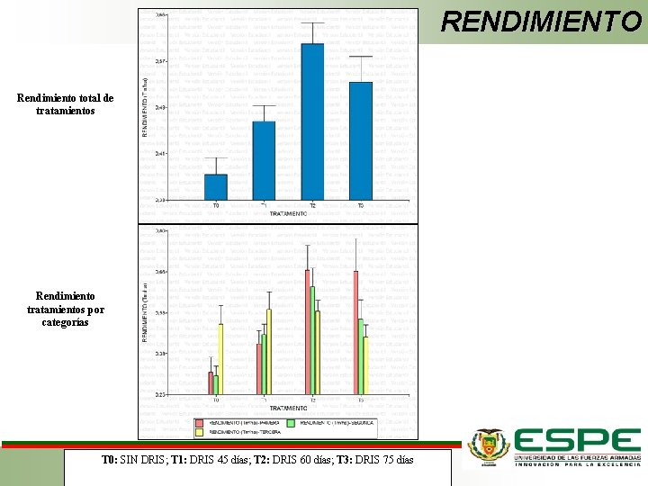 RENDIMIENTO Rendimiento total de tratamientos Rendimiento tratamientos por categorías T 0: SIN DRIS; T