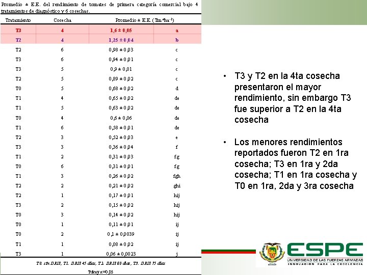 Promedio ± E. E. del rendimiento de tomates de primera categoría comercial bajo 4