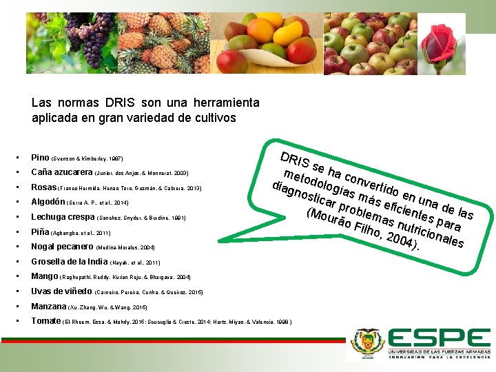 Las normas DRIS son una herramienta aplicada en gran variedad de cultivos DRI S