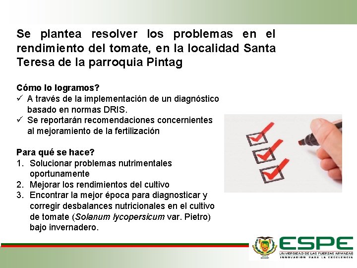 Se plantea resolver los problemas en el rendimiento del tomate, en la localidad Santa