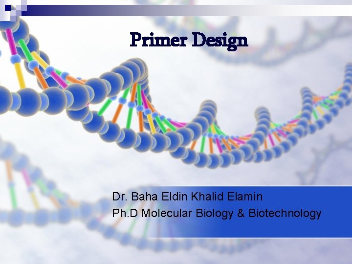 Primer Design Dr. Baha Eldin Khalid Elamin Ph. D Molecular Biology & Biotechnology 