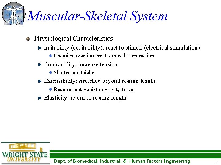 Muscular-Skeletal System Physiological Characteristics Irritability (excitability): react to stimuli (electrical stimulation) Chemical reaction creates