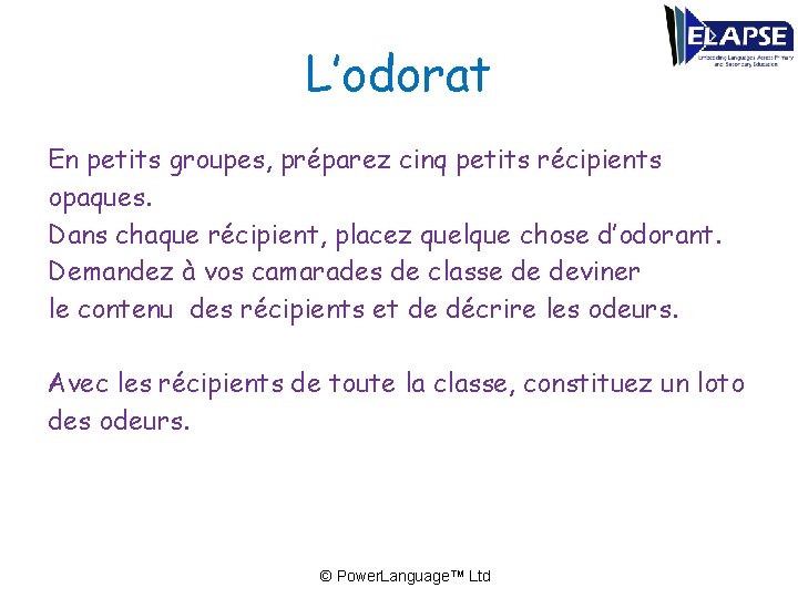 L’odorat En petits groupes, préparez cinq petits récipients opaques. Dans chaque récipient, placez quelque