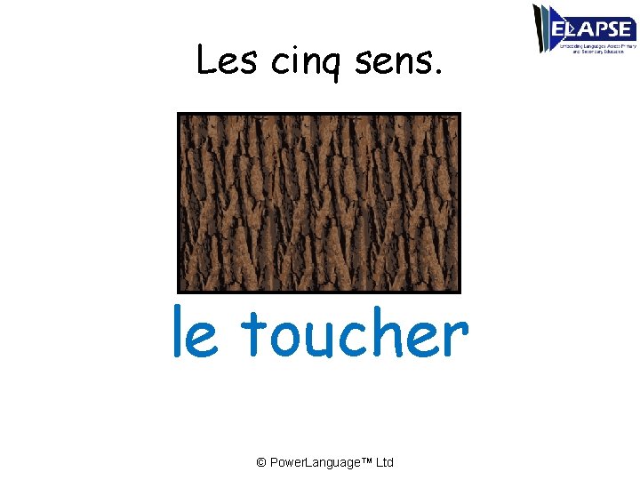 Les cinq sens. le toucher © Power. Language™ Ltd 