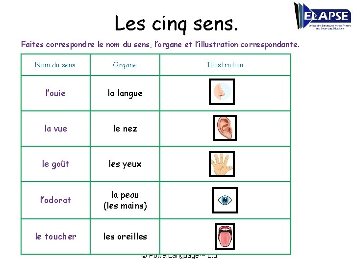 Les cinq sens. Faites correspondre le nom du sens, l’organe et l’illustration correspondante. Nom