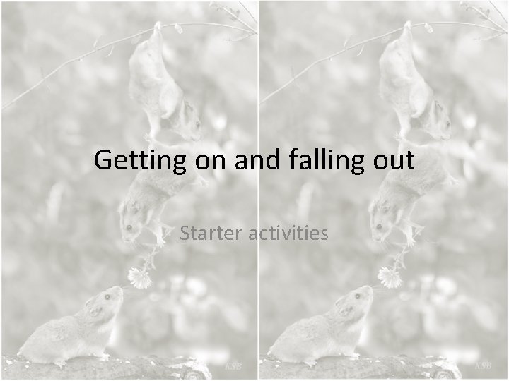 Getting on and falling out Starter activities 