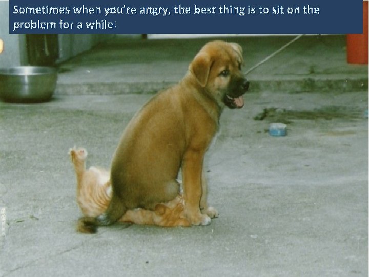 Sometimes when you’re angry, the best thing is to sit on the problem for