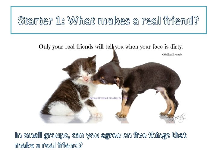 Starter 1: What makes a real friend? In small groups, can you agree on