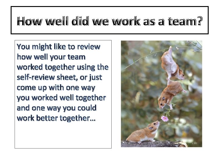 How well did we work as a team? You might like to review how
