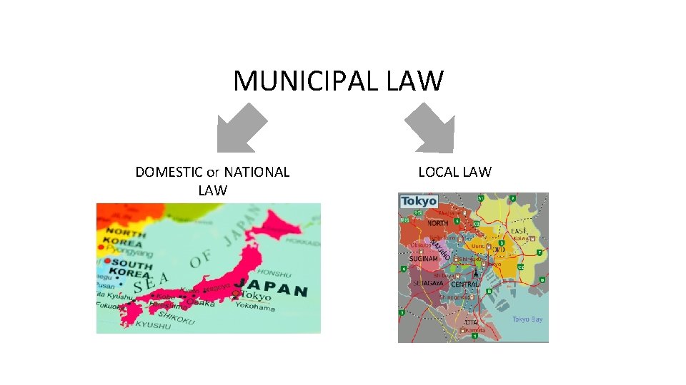 MUNICIPAL LAW DOMESTIC or NATIONAL LAW LOCAL LAW 