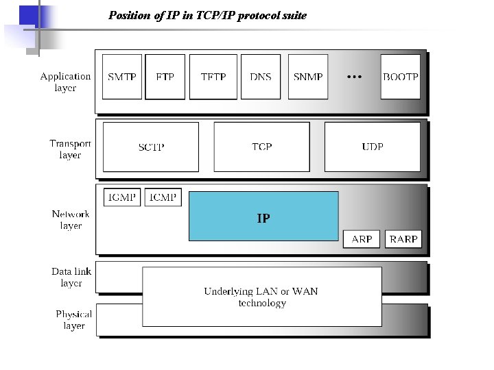 Position of IP in TCP/IP protocol suite 