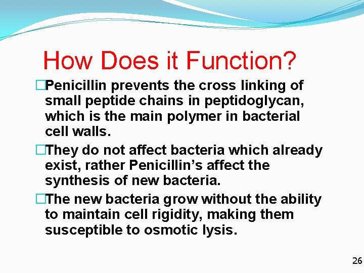 How Does it Function? �Penicillin prevents the cross linking of small peptide chains in