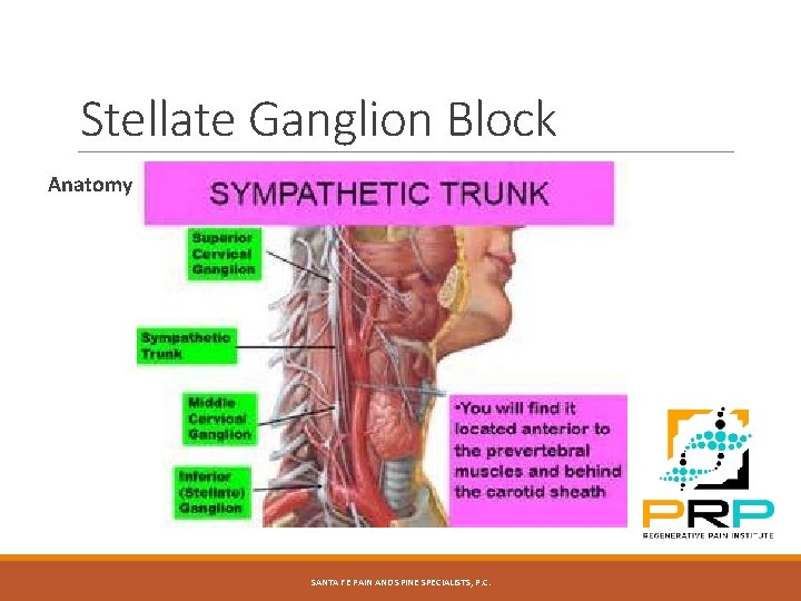Stellate Ganglion Block Anatomy SANTA FE PAIN AND SPINE SPECIALISTS, P. C. 