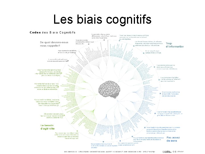 Les biais cognitifs 