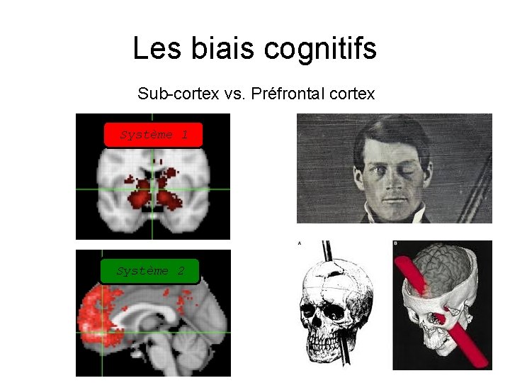 Les biais cognitifs Sub-cortex vs. Préfrontal cortex Système 1 Système 2 
