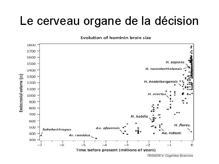 Le cerveau organe de la décision 