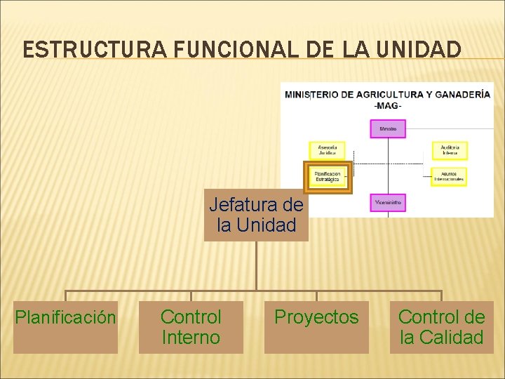 ESTRUCTURA FUNCIONAL DE LA UNIDAD Jefatura de la Unidad Planificación Control Interno Proyectos Control