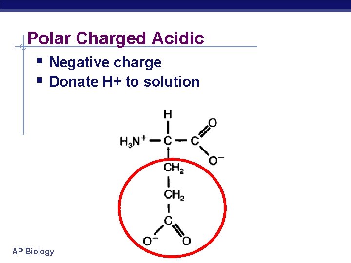 Polar Charged Acidic Negative charge Donate H+ to solution AP Biology 