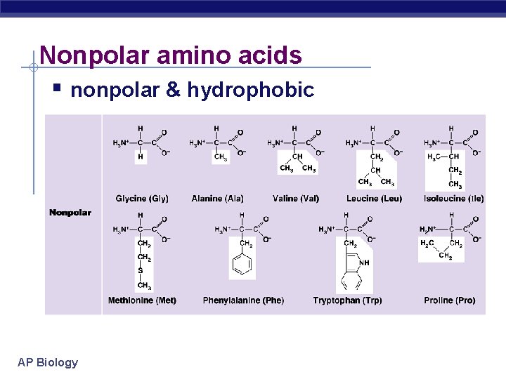 Nonpolar amino acids nonpolar & hydrophobic AP Biology 