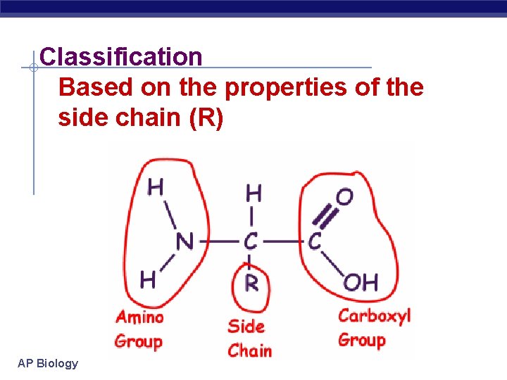 Classification Based on the properties of the side chain (R) AP Biology 