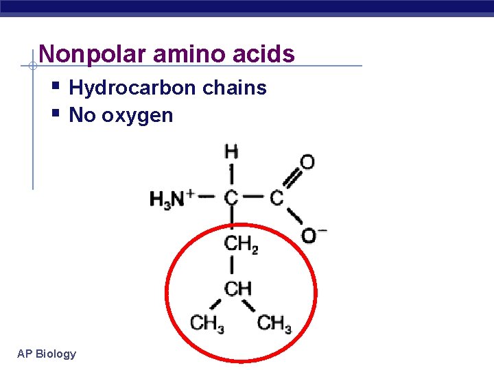 Nonpolar amino acids Hydrocarbon chains No oxygen AP Biology 