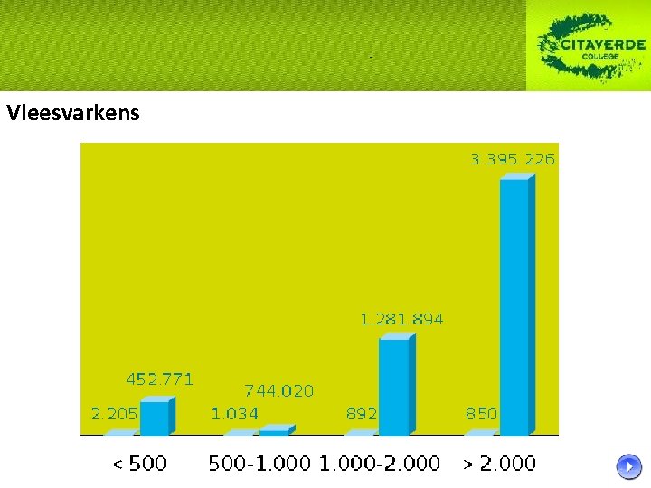 Vleesvarkens Vleesvarkens