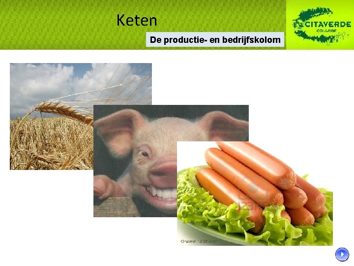 Keten De productie- en bedrijfskolom 