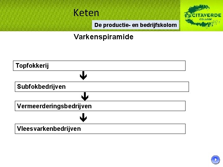 Keten De productie- en bedrijfskolom Varkenspiramide Topfokkerij Subfokbedrijven Vermeerderingsbedrijven Vleesvarkenbedrijven Keten De productie- en bedrijfskolom Varkenspiramide Topfokkerij Subfokbedrijven Vermeerderingsbedrijven Vleesvarkenbedrijven
