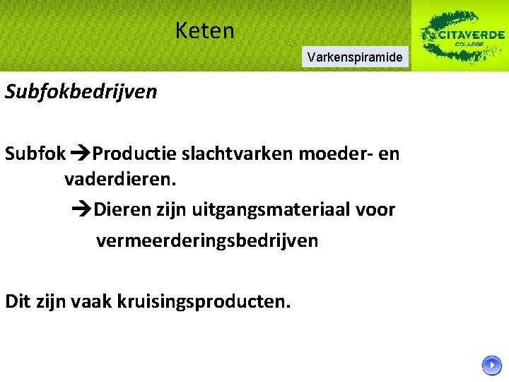 Keten Varkenspiramide Subfokbedrijven Subfok Productie slachtvarken moeder- en vaderdieren. Dieren zijn uitgangsmateriaal voor vermeerderingsbedrijven