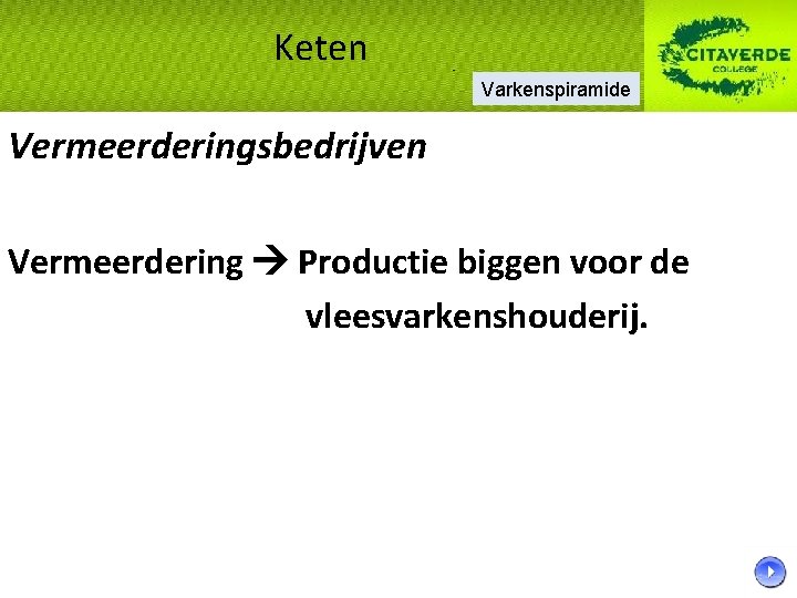 Keten Varkenspiramide Vermeerderingsbedrijven Vermeerdering Productie biggen voor de vleesvarkenshouderij. 